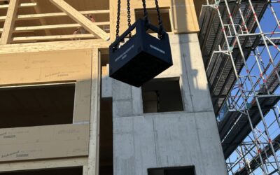 Ein Bärenstarkes Team